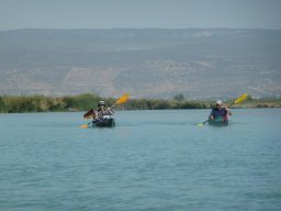 BildA63